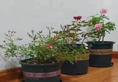 微信图片_20250725143413.jpg